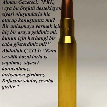 Tolgahan Canturk