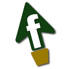 Fidanistanbul Fidan Siparişi