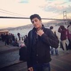 Atilla Emss