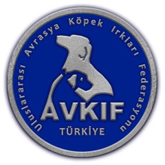 AVKIF