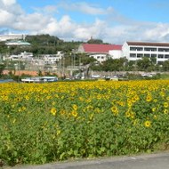 はいさい、はいたい