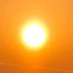 Almira_Catovic