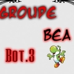 B0T.3 [Groupe BEA]