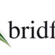 Bridford Finance