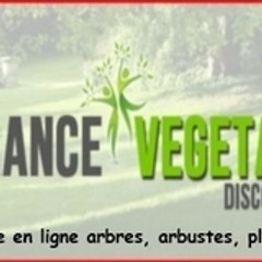 France-vegetal-discount