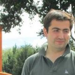 Sergio Meneses Toledo