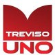 trevisouno