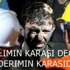Şener Şenucar