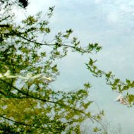 perspectives plurielles