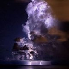 llotustw