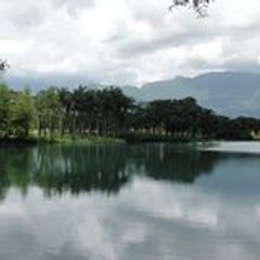 Chiachu Lu