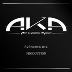 ArtKontrolAgency