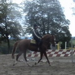 ManOnPrincesse