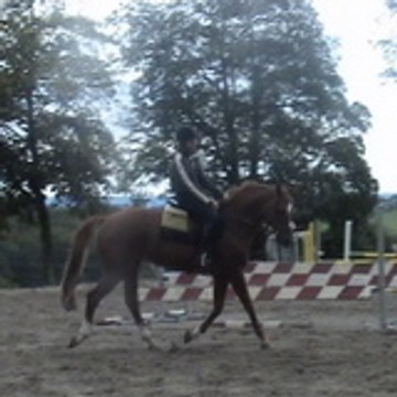 ManOnPrincesse