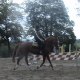 ManOnPrincesse