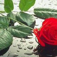 Kiyamamsesli Kiyamamsesli.Com Sesli ve Kamerali so