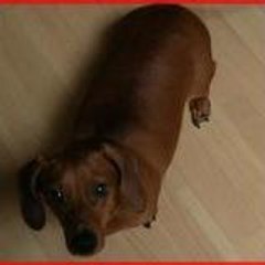 CaLiMeRo-