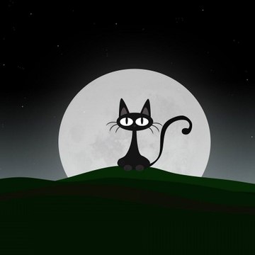Monsieur Le Chat