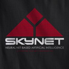 Skynet1333