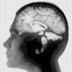 Jovenes Informaticos.es