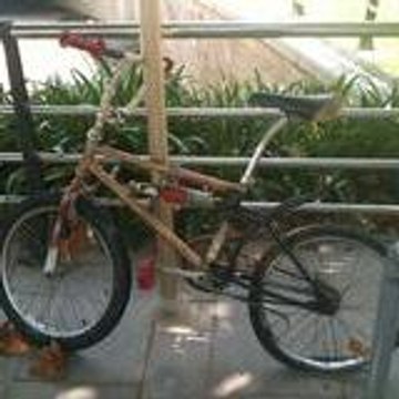 Mike_37