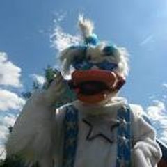 Star Duck