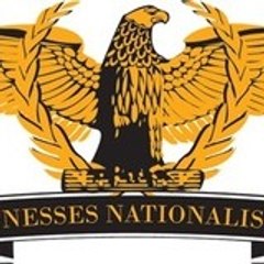 Mediat Natio