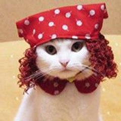 Cat Grabouille