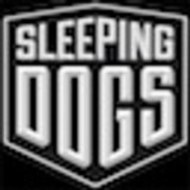 SleepingDogsPC