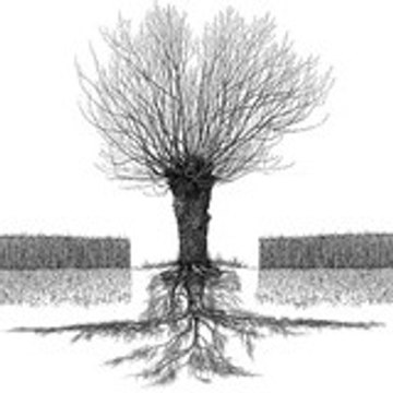 agroforest