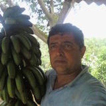 VALDEMIR MOTA DE MENEZES