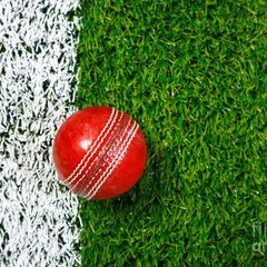 CricVids