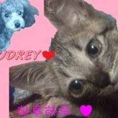 junknolove