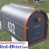 Bird-Detercom Nomorebirdpoop Onyourmailbox