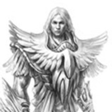 Ridgeraiser