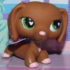 petshop-vava