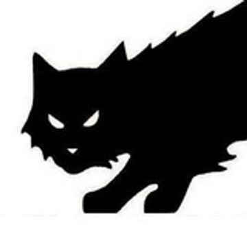 LE-CHAT-ERRANT