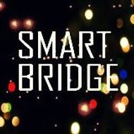 SMARTBRIDGE TRADING SOLUTIONS PVT LTD