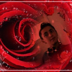 mardinli_rezan7272
