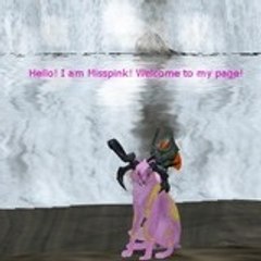 Misspinker