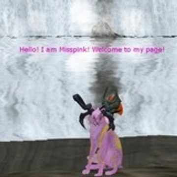 Misspinker