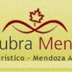 Descubriendo Mendoza