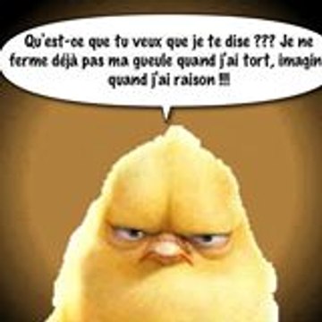 Poussin Vador