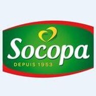 Socopa