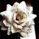 I-Love-Music-2012