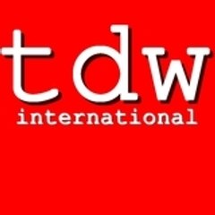 tdwi