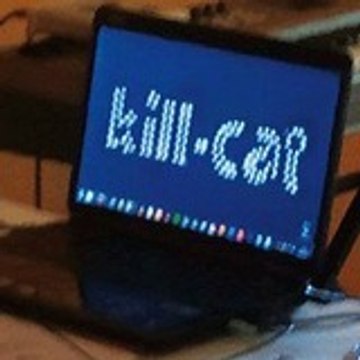 Kill-Cat