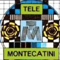 TeleMontecatini