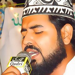Hafiz Syed Shahzad Ali Shah Official