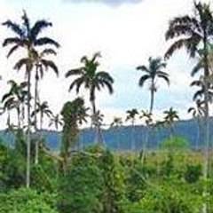 funtoursjamaica